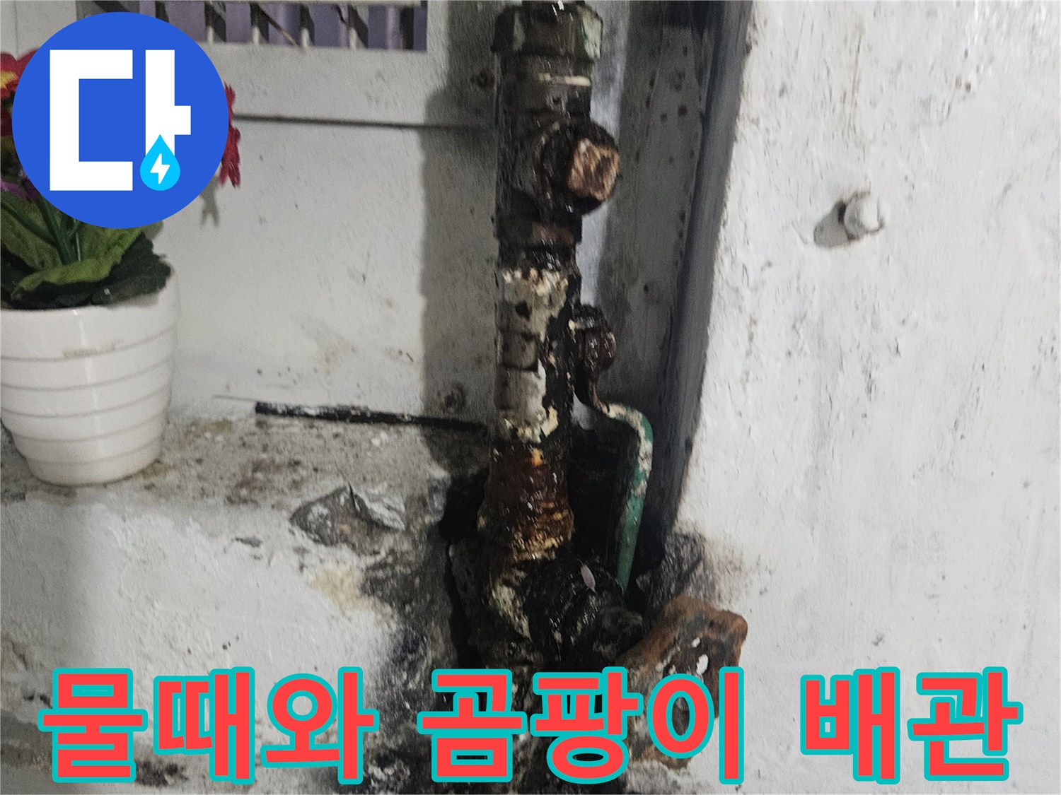 습기로 인해 오염된 화장실 벽면과 배관 주변 현장