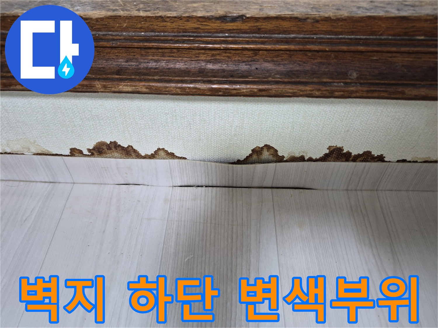 포천 현장-곰팡이로 인해 오염된 벽지 하단 모서리