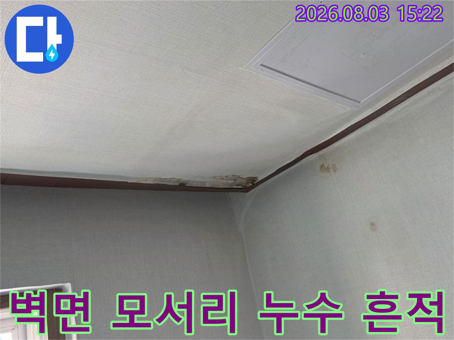 내부 배관 문제로 인해 천장 모서리에 발생한 곰팡이와 습기 얼룩