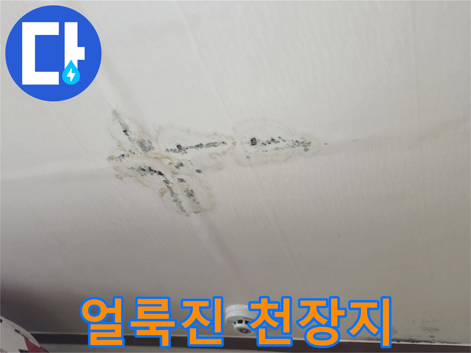 누수로 인해 젖고 변색된 천장 마감재