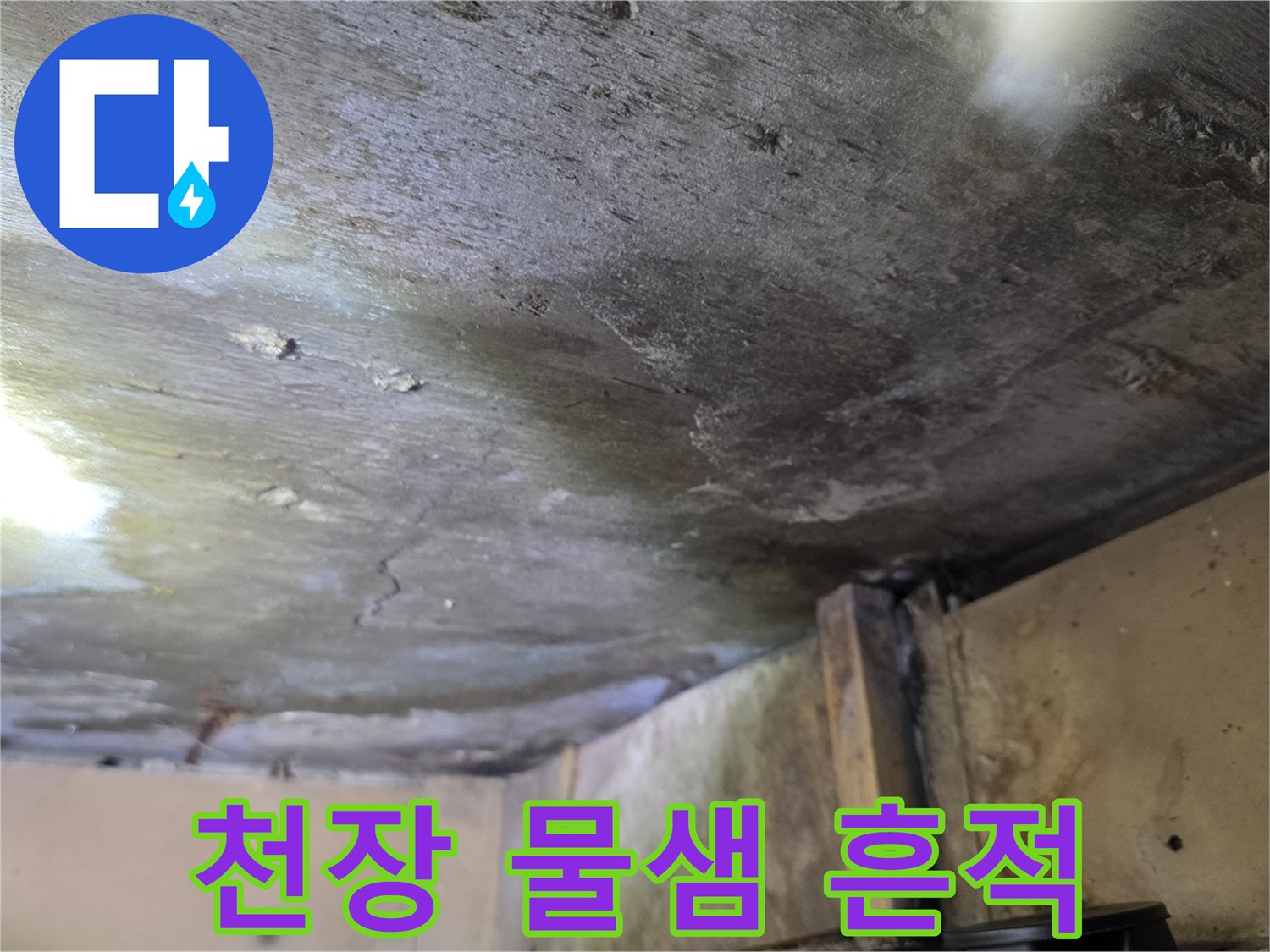 분당 구미동 원룸 천장의 누수 흔적과 얼룩