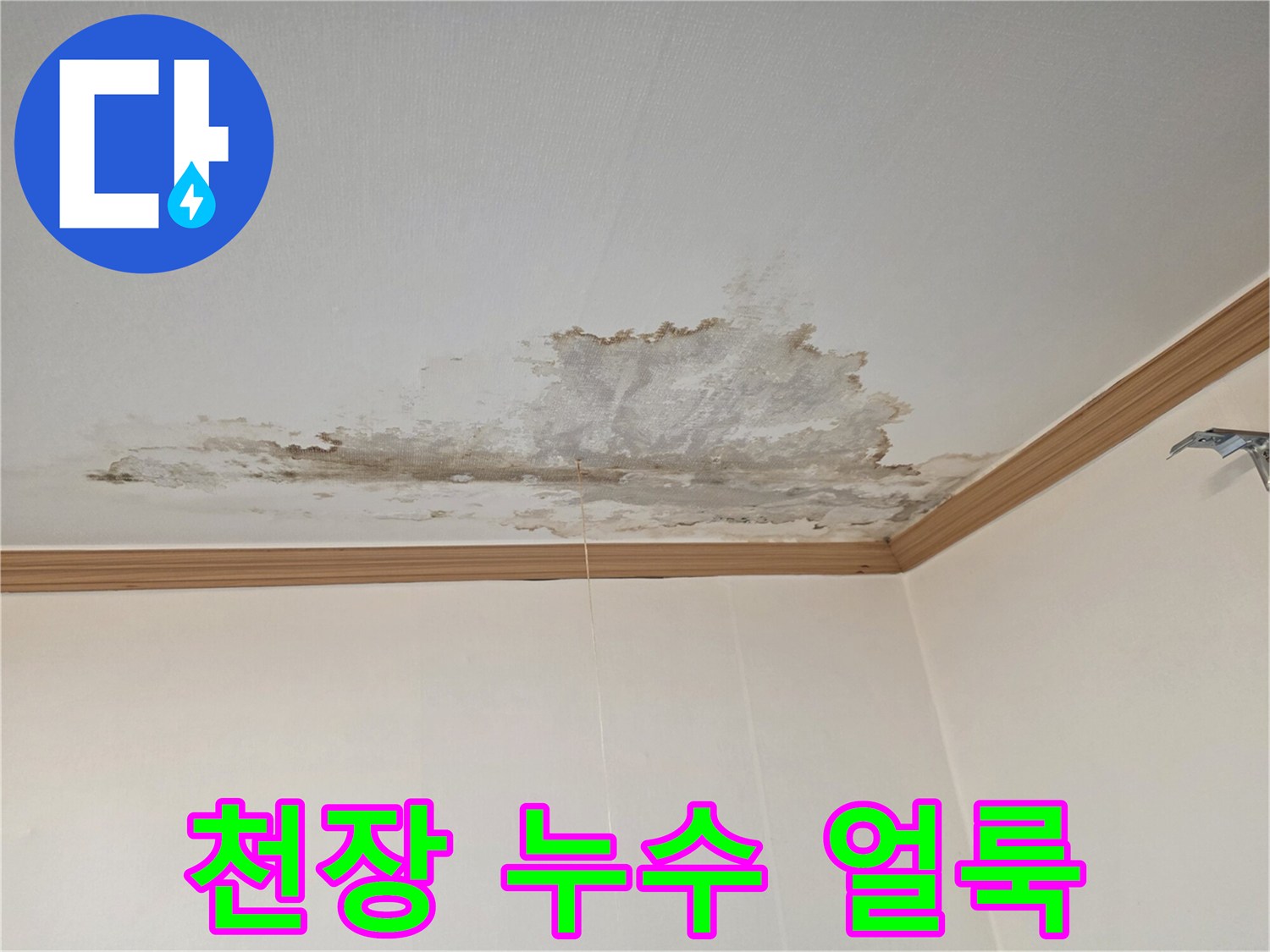 아랫집-천장-부분적인-물샘-흔적과-얼룩