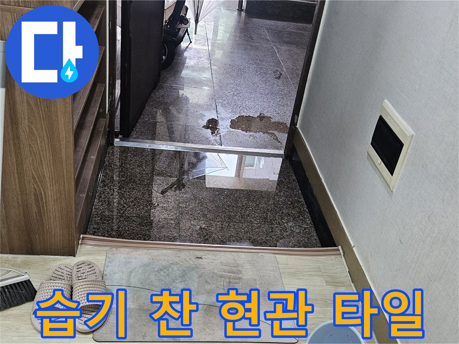 물이 스며들어 어둡게 변한 현관 입구 타일