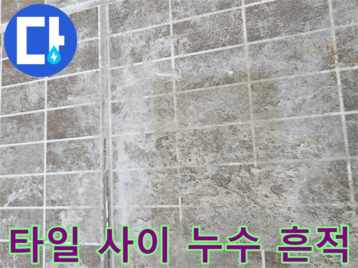 화성시 진안동 현장-타일 표면의 젖은 얼룩과 습기 상태