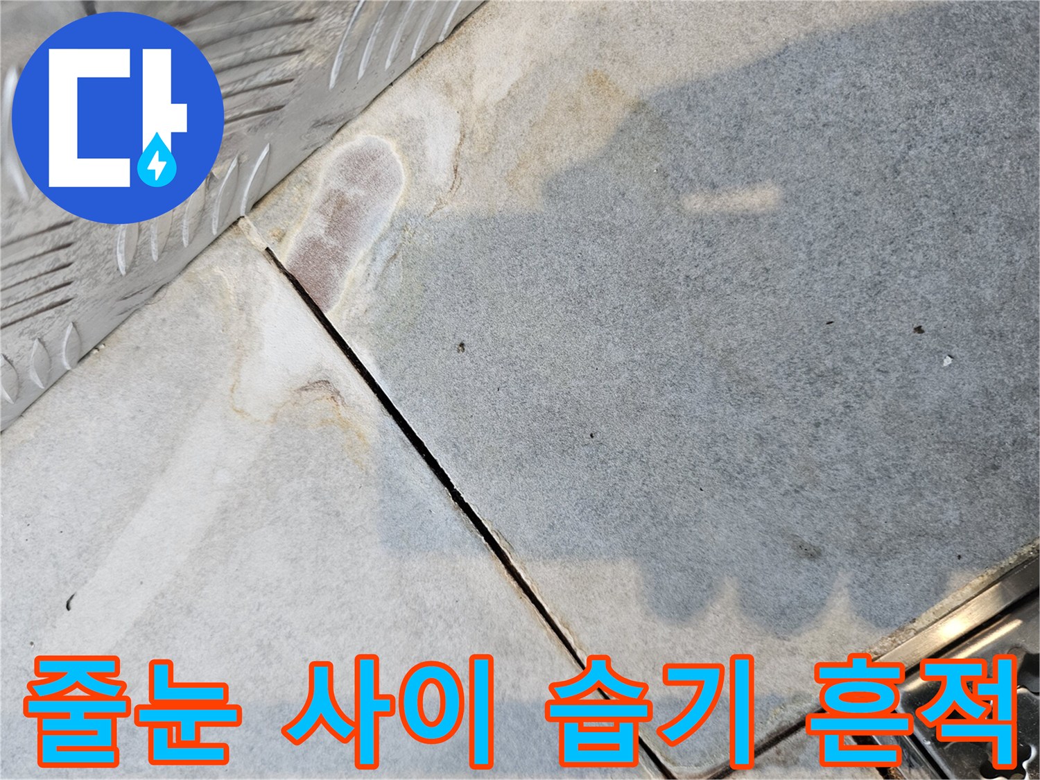 타일 줄눈의 변색된 부분과 습기 머금은 상태 기록