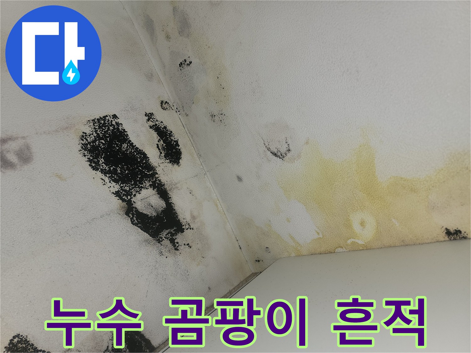 물샘-흔적과-함께-발생한-화장실-천장-벽면의-곰팡이