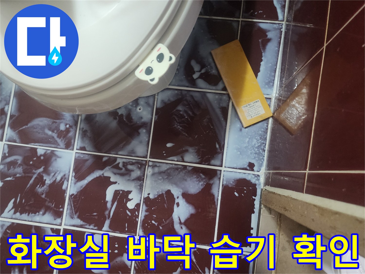 양천구 현장-변기 주변 및 타일 사이의 젖은 흔적 관찰