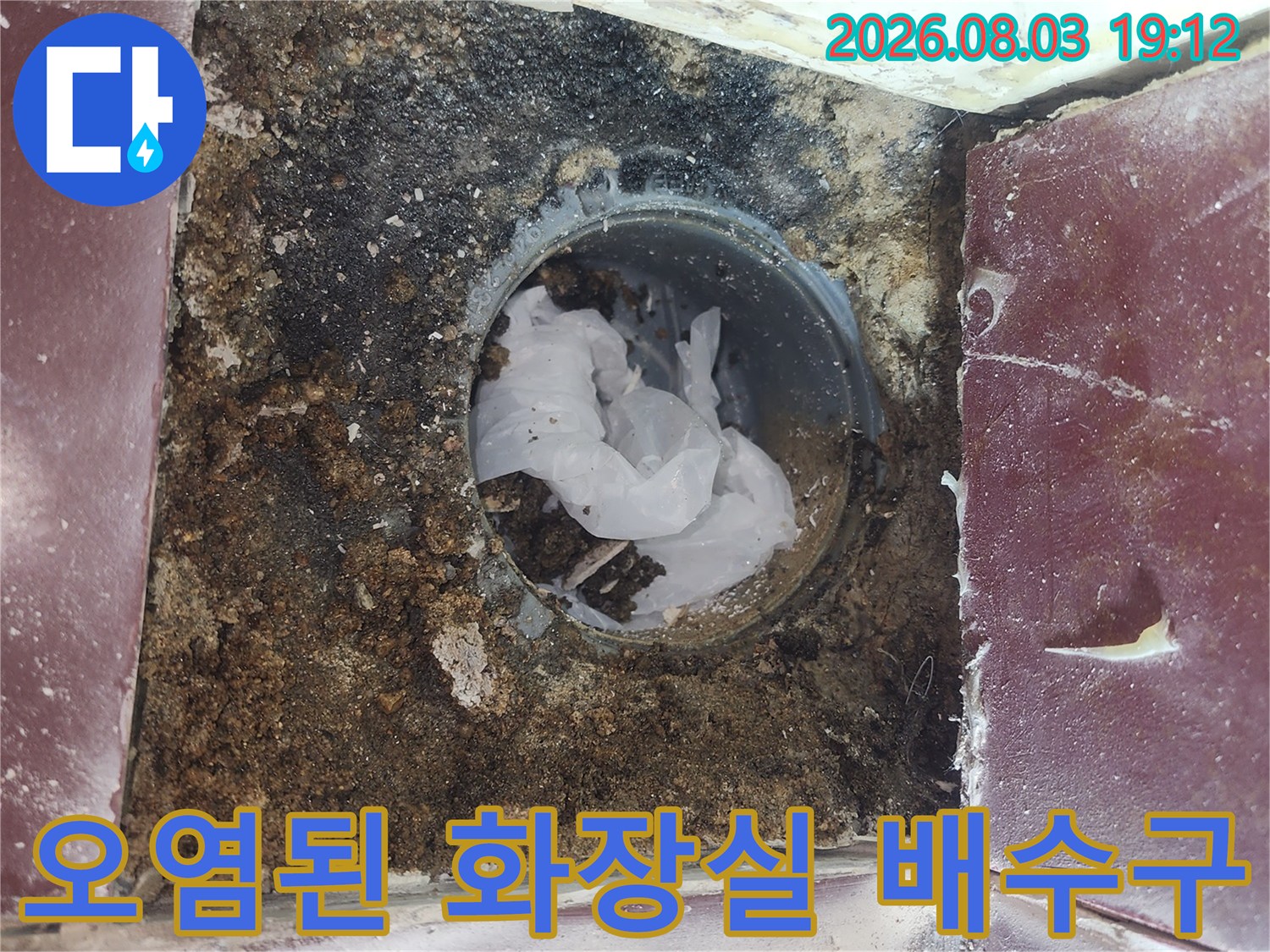 이물질과 곰팡이가 낀 화장실 유가 및 배수구 내부 모습