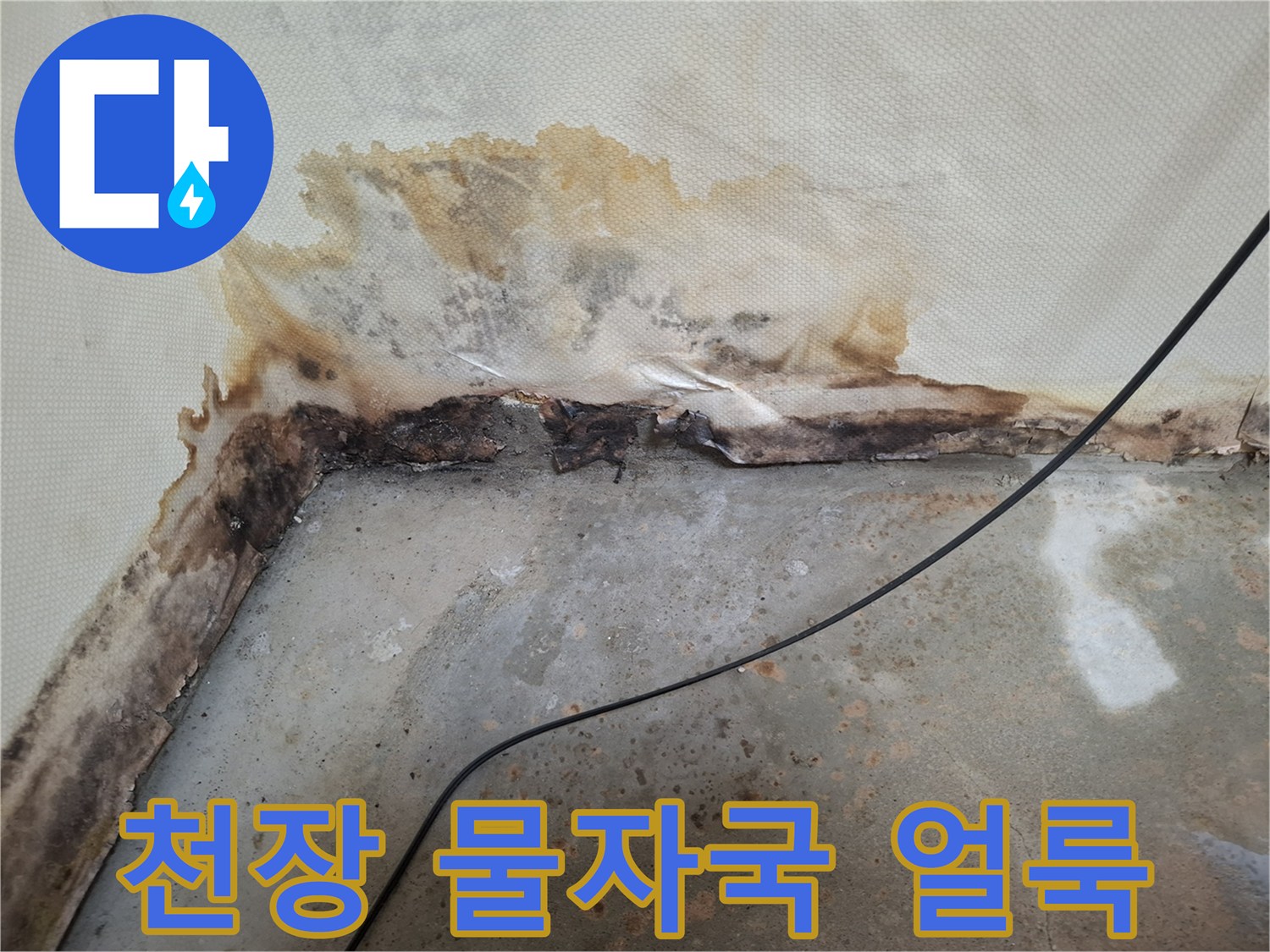 개봉동 주택-천장 벽면의 갈색 물자국과 곰팡이 발생 상태