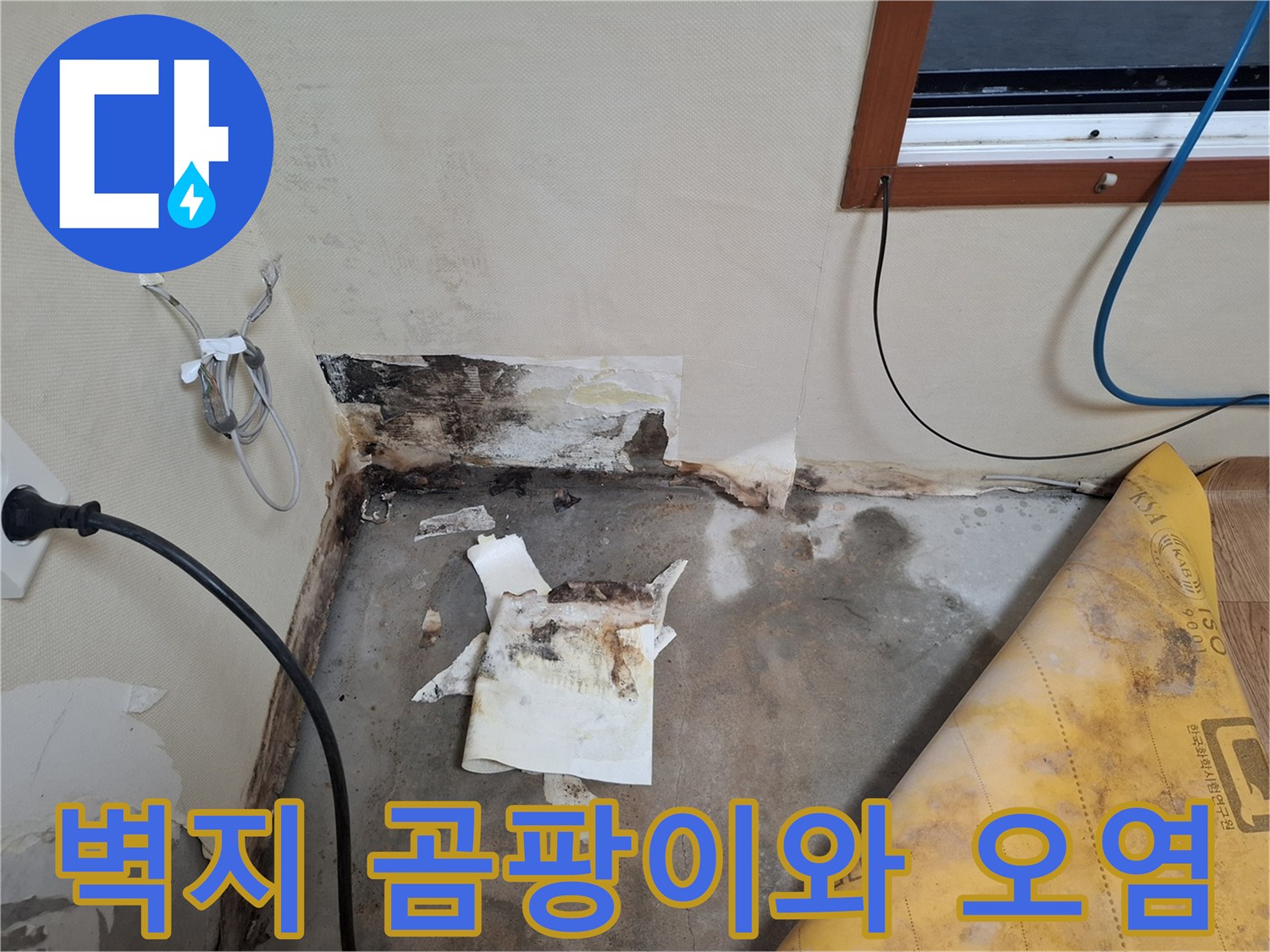 습기로 인해 변색되고 떨어진 벽지 마감 상태