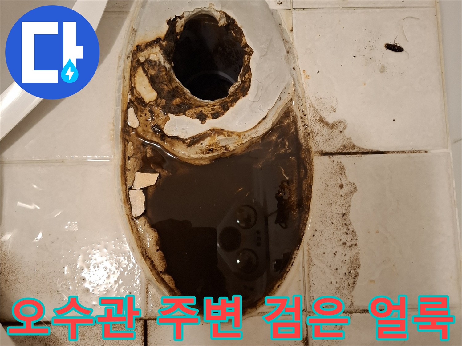 변기 배관 주변에 발생한 검은색 곰팡이와 오물 흔적