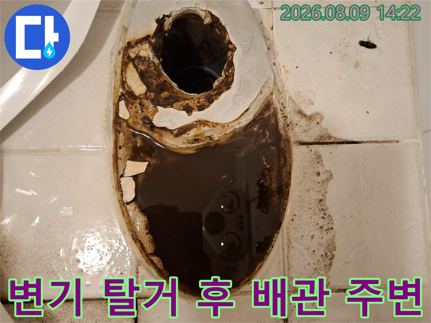 양변기 제거 후 노출된-오염된 하수 배관 구멍 부위