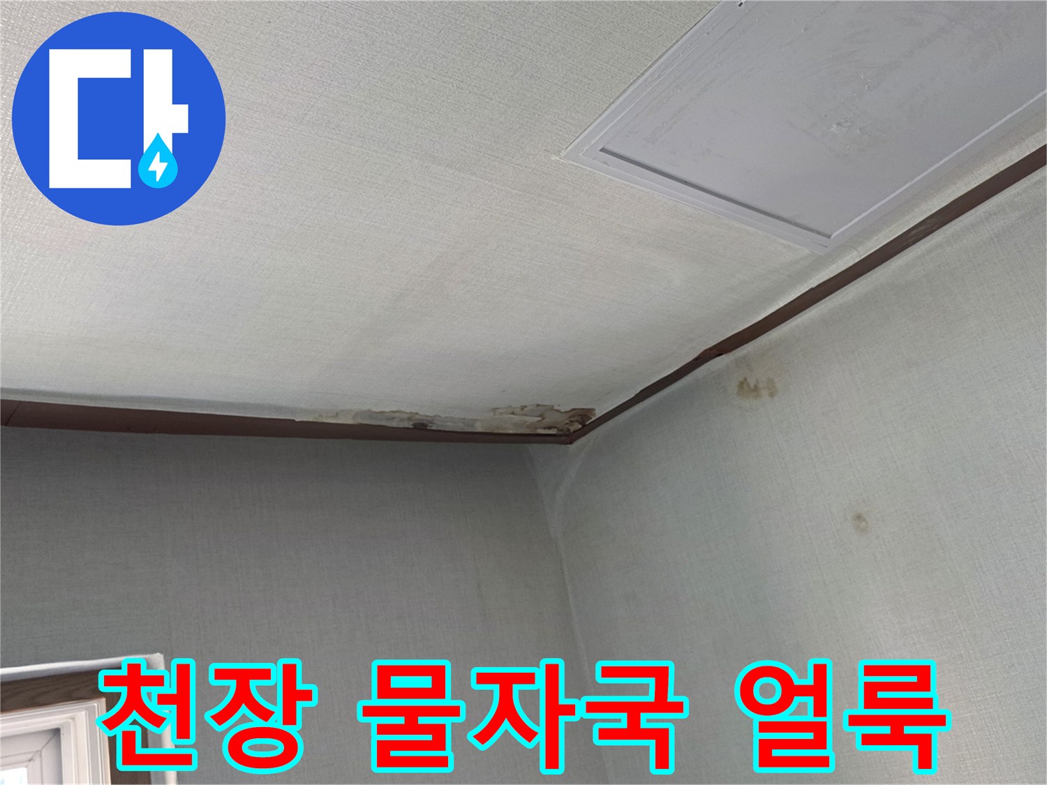 분당 구미동 아파트 천장 부근에 발생한 젖은 흔적과 변색된 벽지 모습