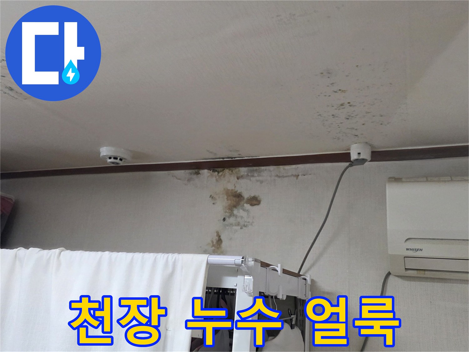 아파트 천장 벽면의 곰팡이와 물자국 현상