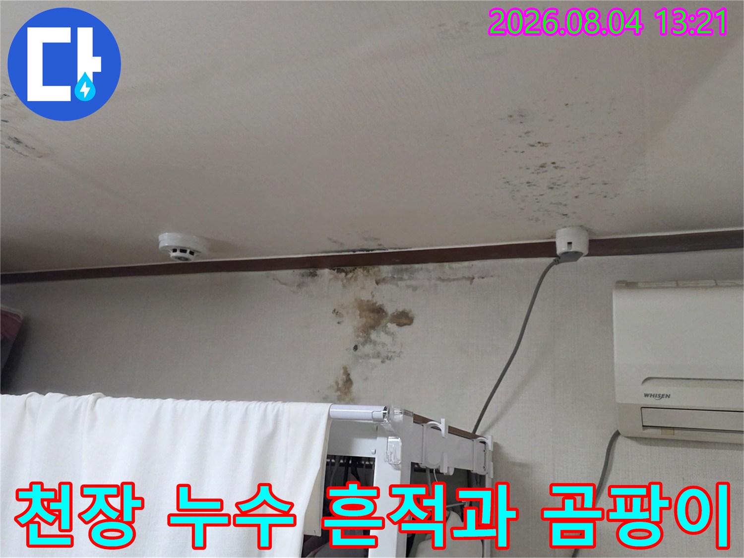 천장 벽면에 발생한 누수로 인한 얼룩과 곰팡이 현황