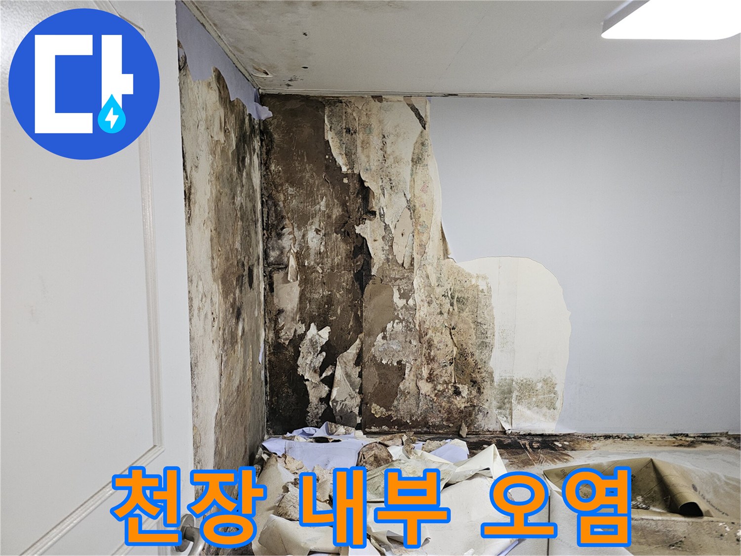 곰팡이와 습기로 오염된 화장실 벽면의 모습