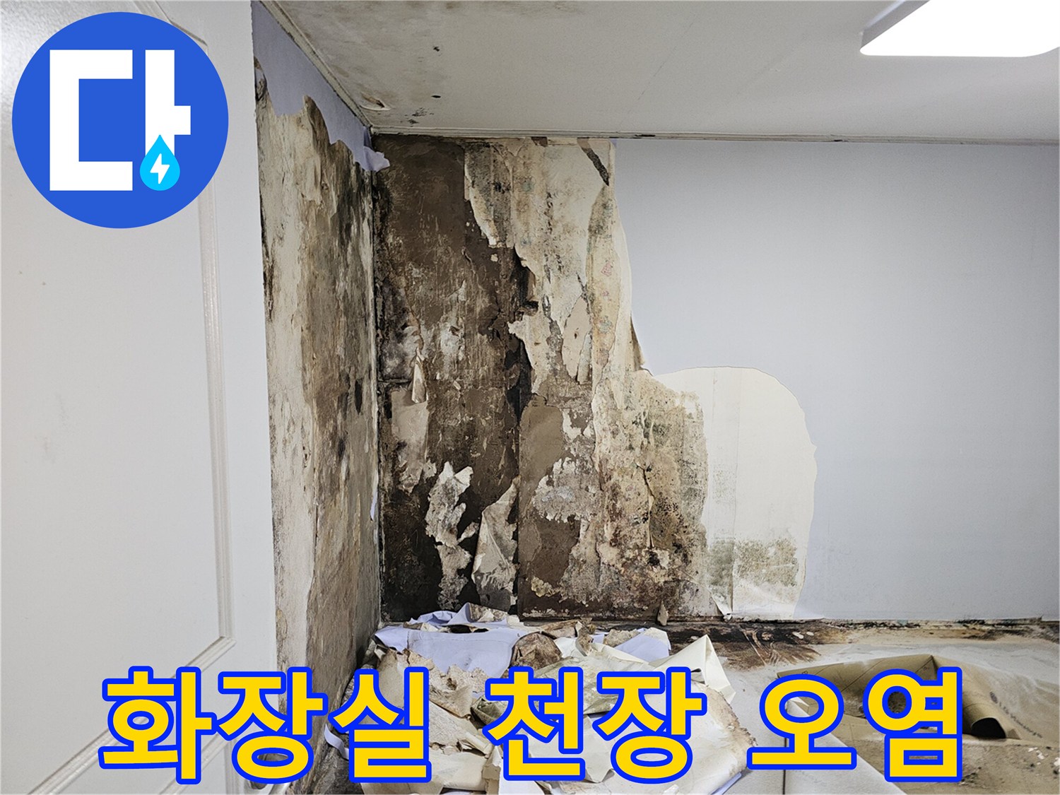 도봉구-아파트-화장실-천장-벽면-곰팡이와-오염-상태