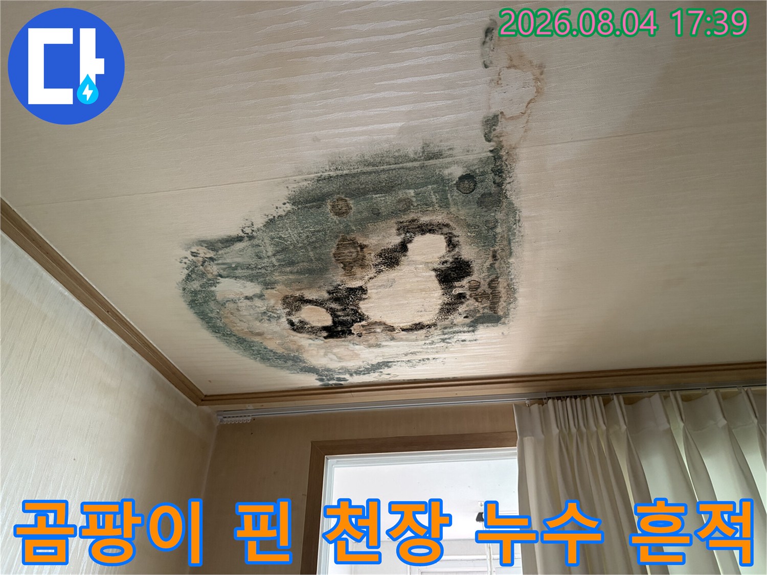 곰팡이가 번진 아파트 거실 천장과 변색된 벽면