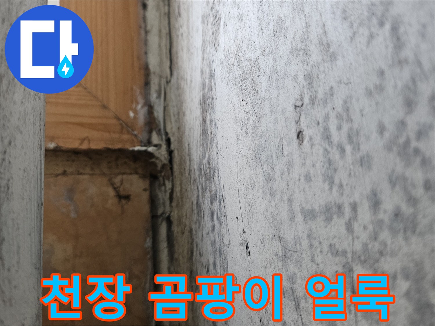세탁실-천장-습기로-인한-검은-곰팡이-흔적