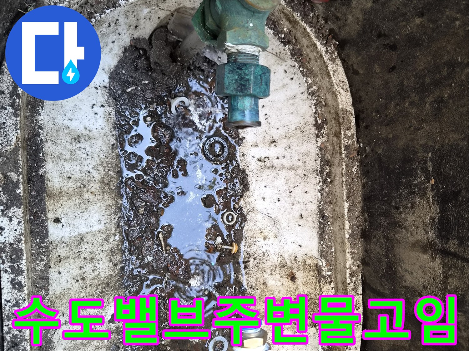 정릉동-현장-외부-계량기함-내부-배관-침수-상태