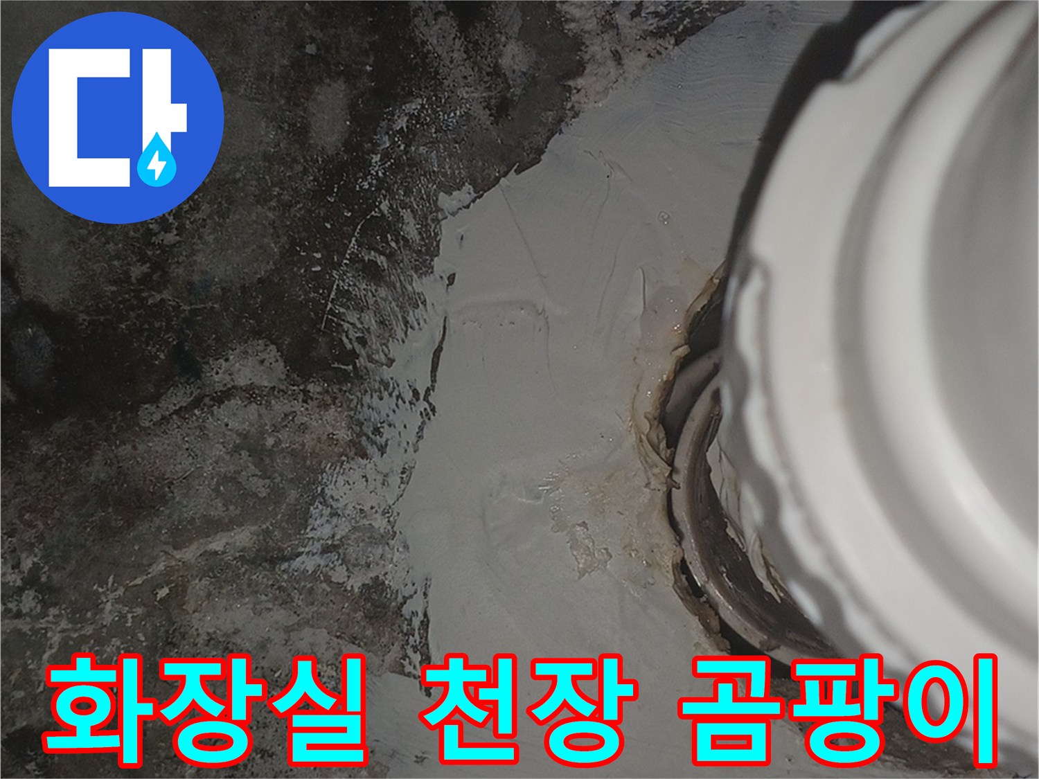 화장실-천장-배관-주변의-심한-곰팡이와-습기-상태