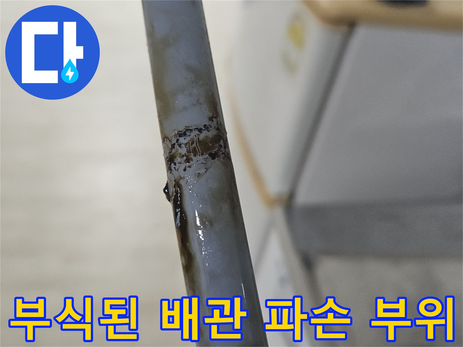 배관 표면의 부식과 균락이 발견된 상태 - 누수 지점 확인