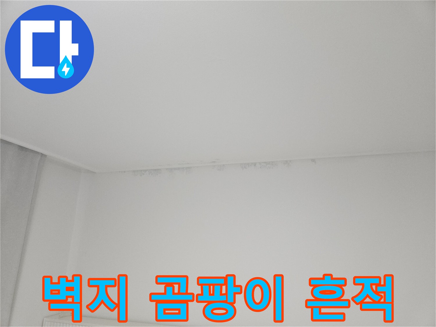 누수로 인한 천장 구석의 곰팡이와 얼룩