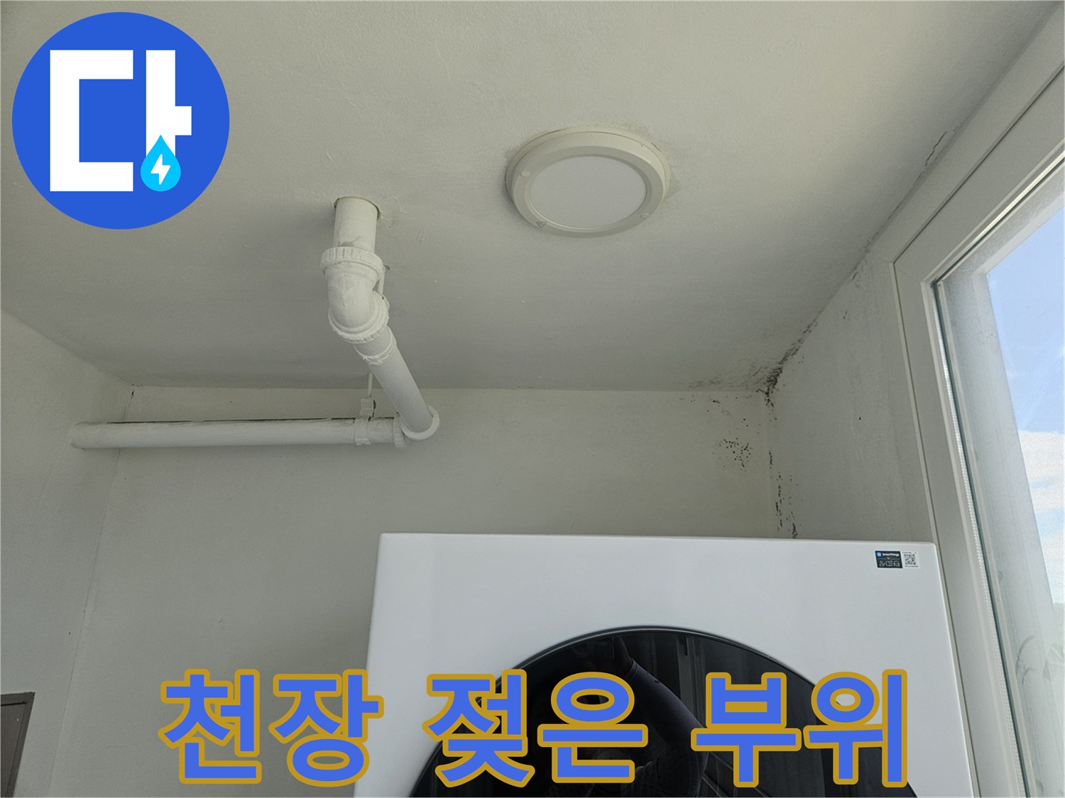 천장 면에 나타난 물샘 자국과 곰팡이