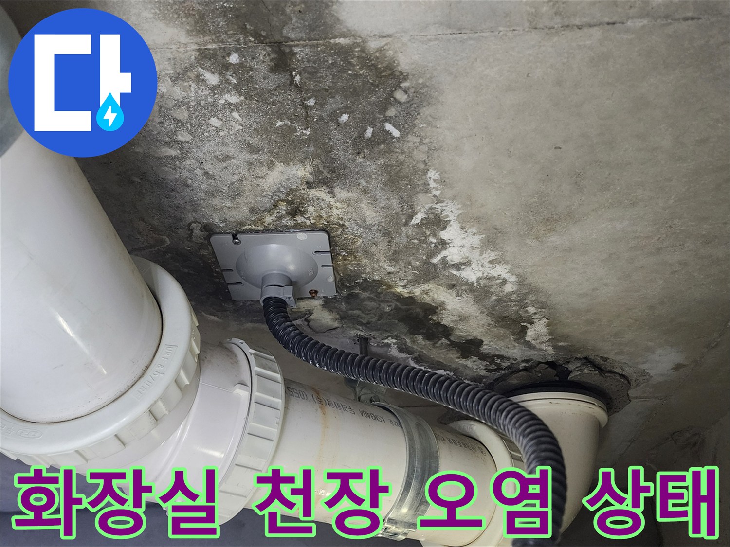 덕양구-화장실-천장-배관-주변의-곰팡이와-습기-흔적