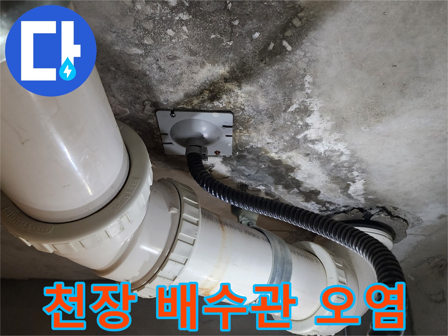 배관 연결 부위의 습기 및 곰팡이 흔적