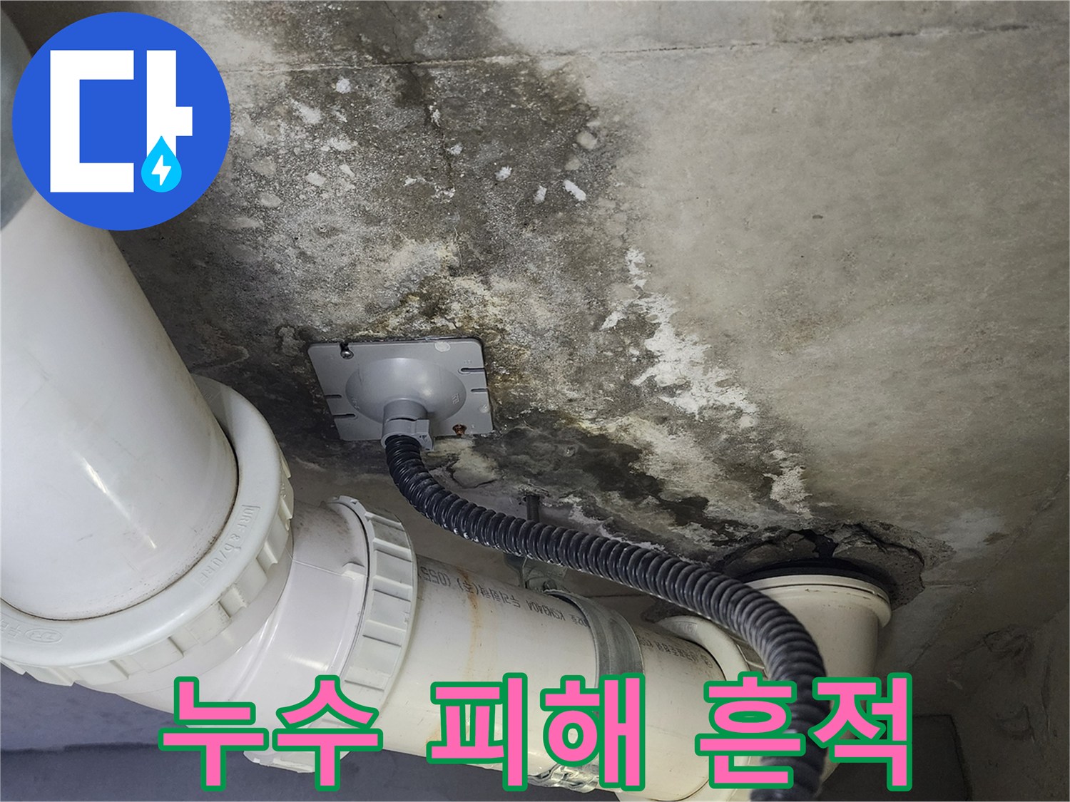 배관-연결부-주변의-젖은-슬라브-및-곰팡이