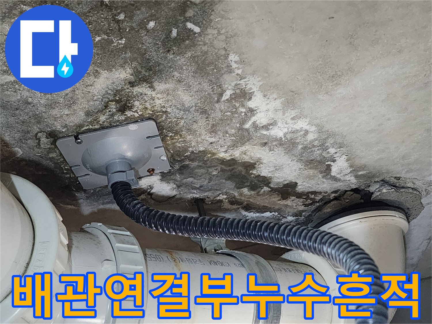 배관-주변의-젖은-콘크리트-및-곰팡이