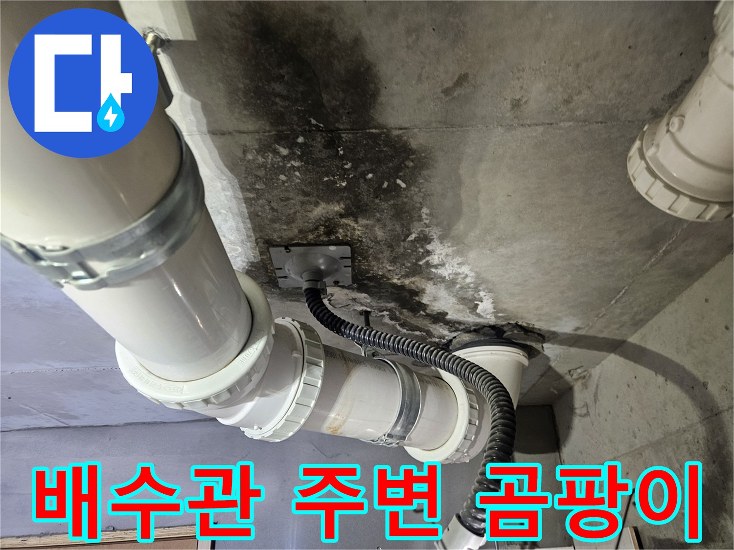 하수도-배관-주변의-심한-곰팡이와-콘크리트-오염-현황