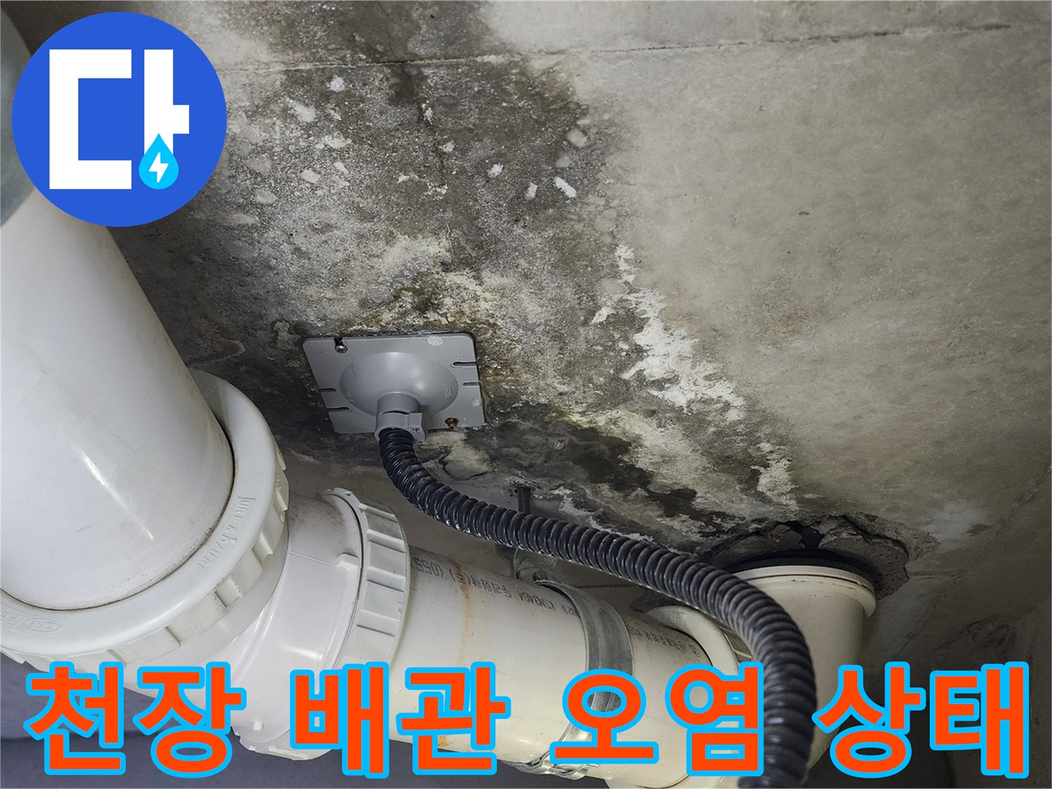 화장실-천장-배관-주변의-곰팡이와-습기-흔적