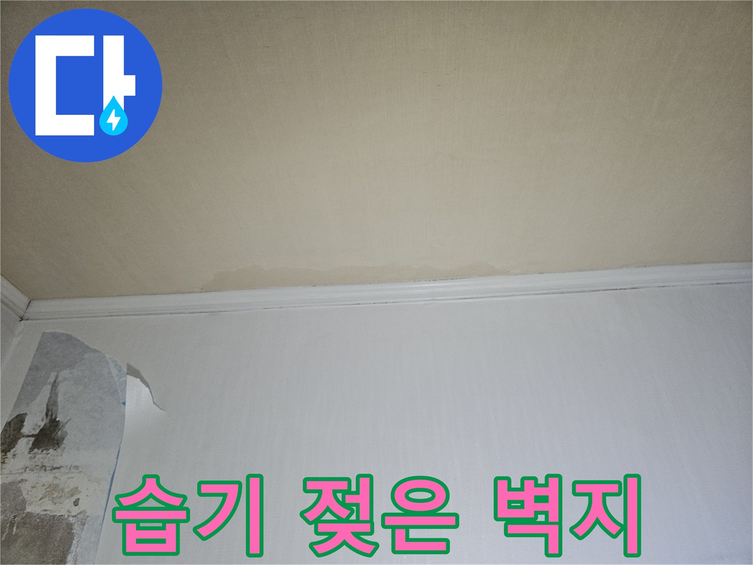 물샘으로 인해 변색된-벽면 하단부 사진