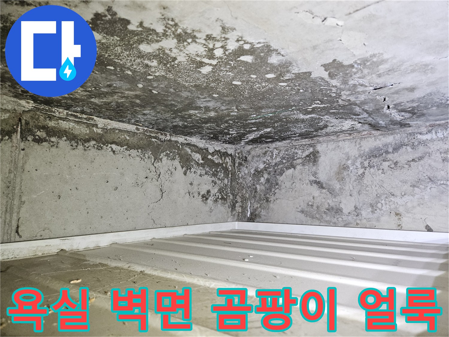 백석동-아파트-화장실-벽면-곰팡이-발생-현황