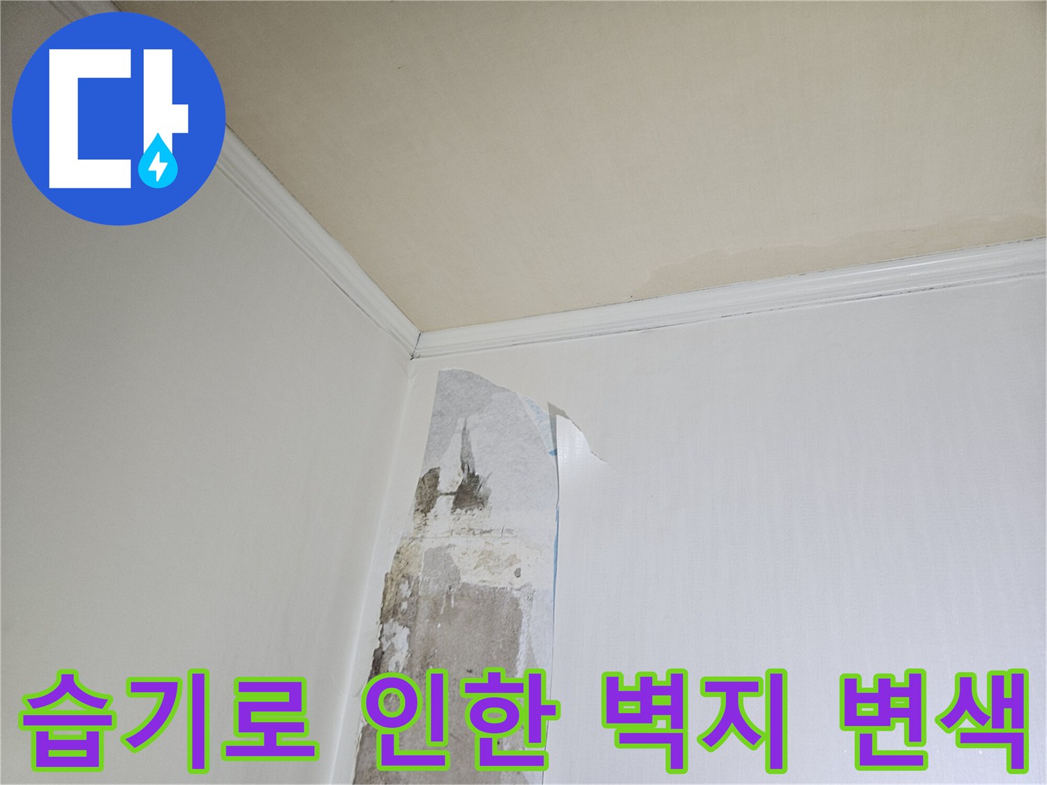 벽면-하단부-도배지-변색-및-들뜸-현상-사진