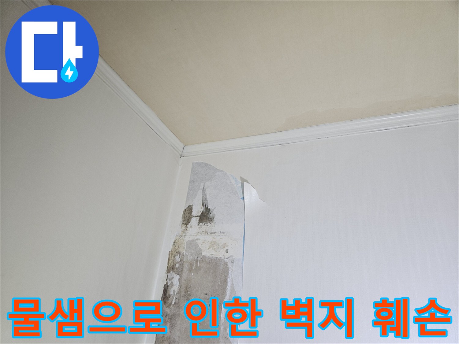습기 차 있는 벽면-벗겨지고 오염된 도배지