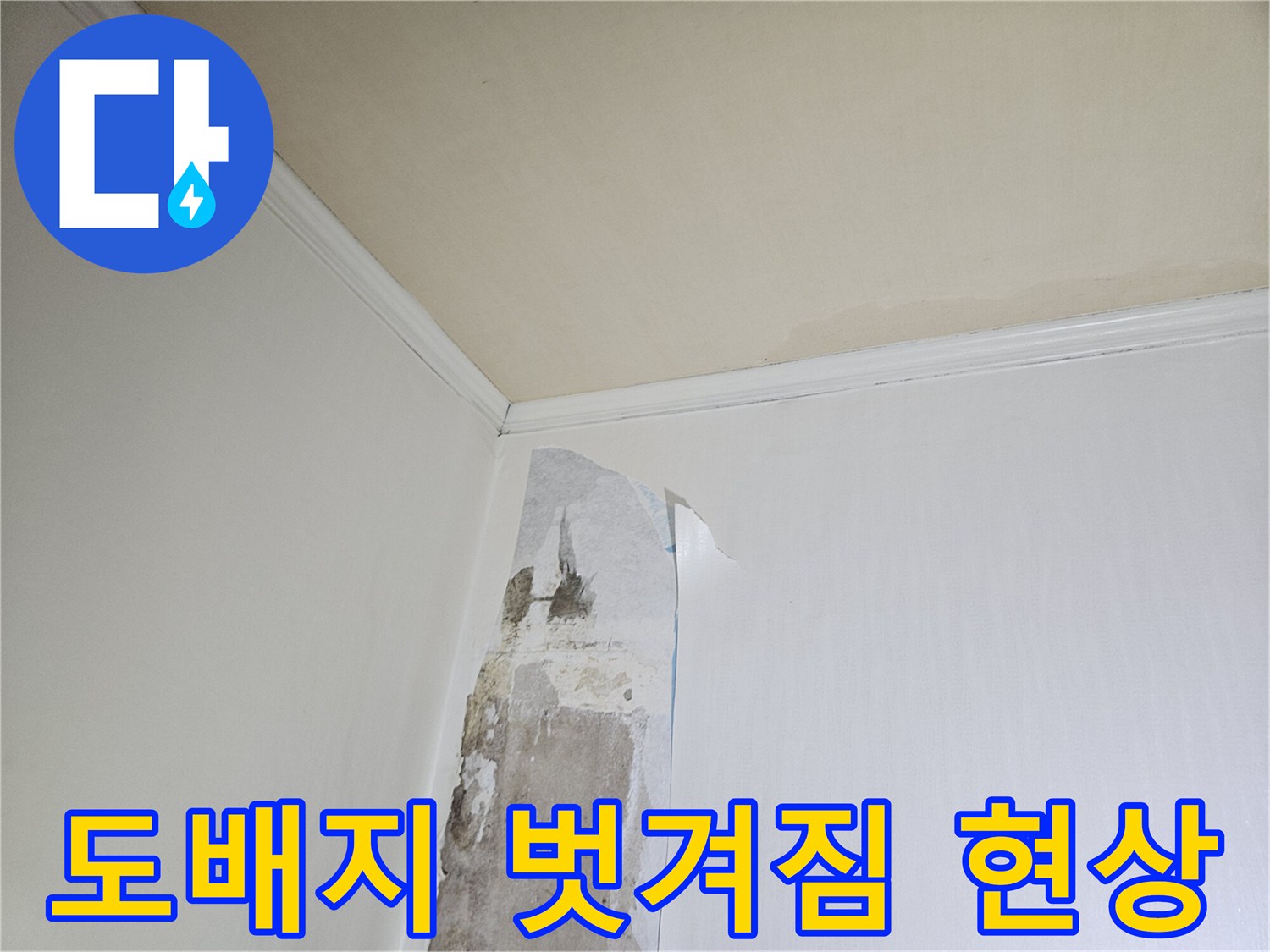 습기로 인해 갈라지고 들뜬 도배지와 벽면 오염 상태