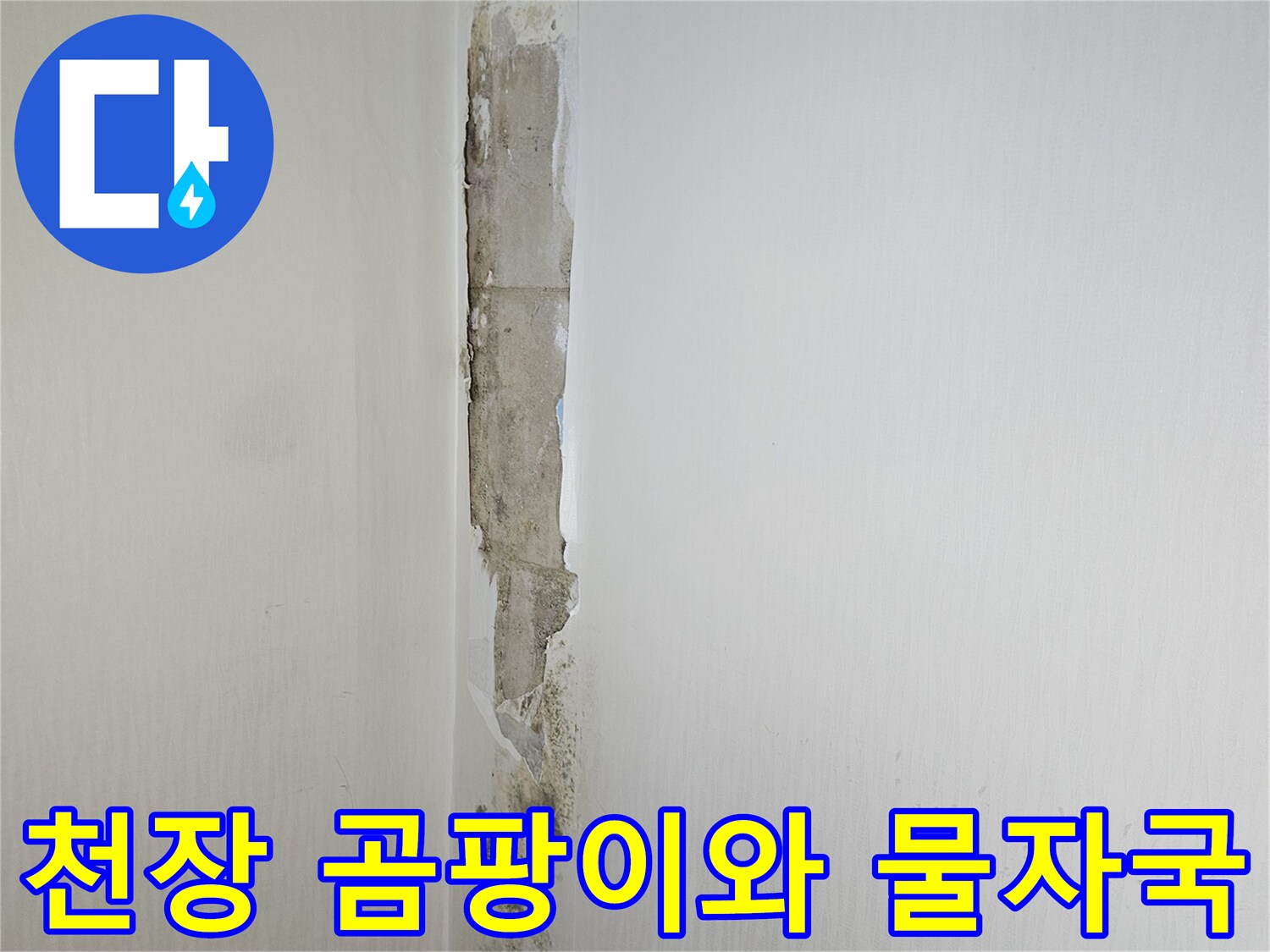 아파트-천장-벽면-곰팡이-및-누수-흔적