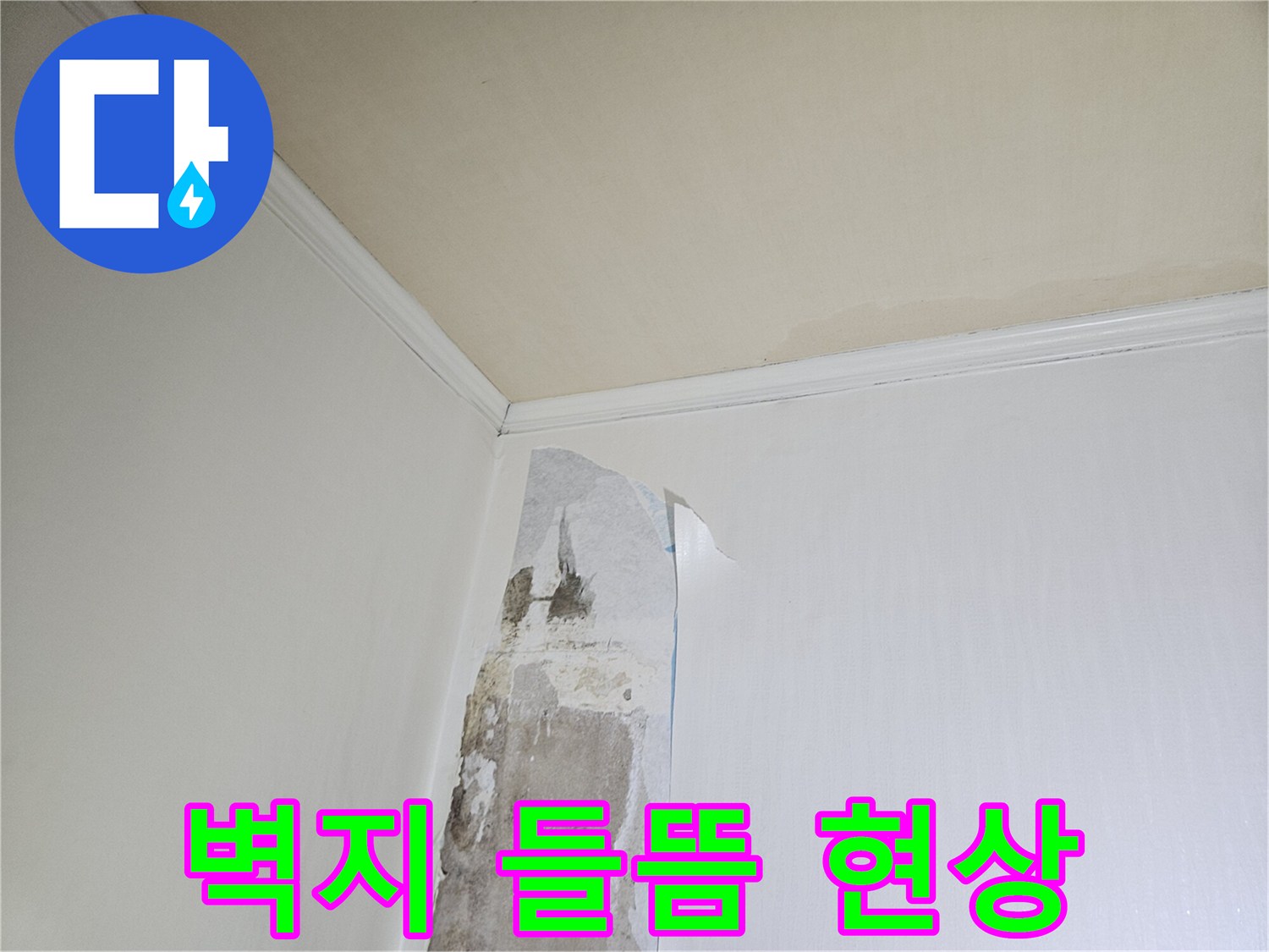 일산동구-아파트-벽면-도배지-들뜸-및-습기-상태