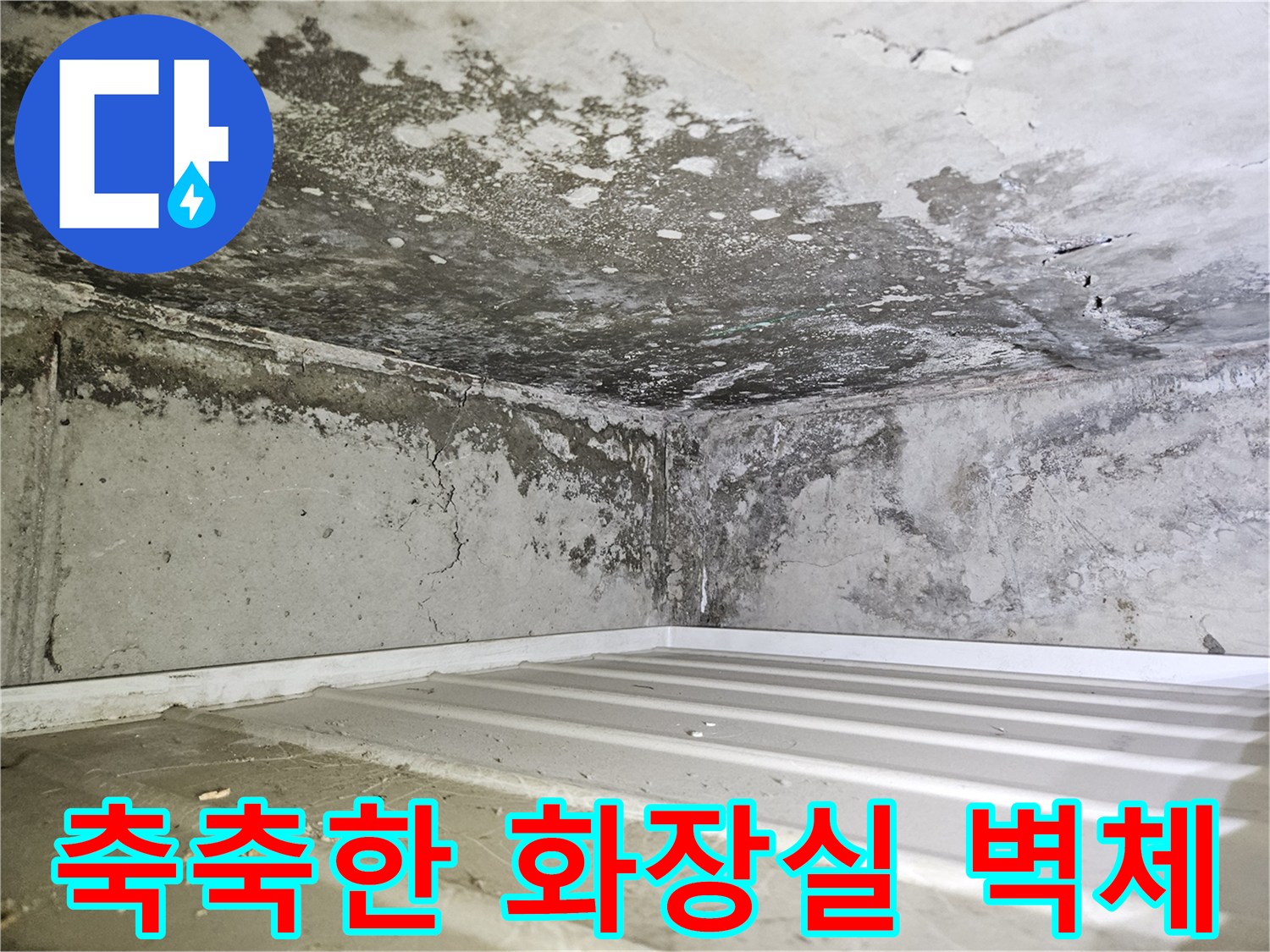 일산동구-욕실-천장-벽면-습기-및-곰팡이