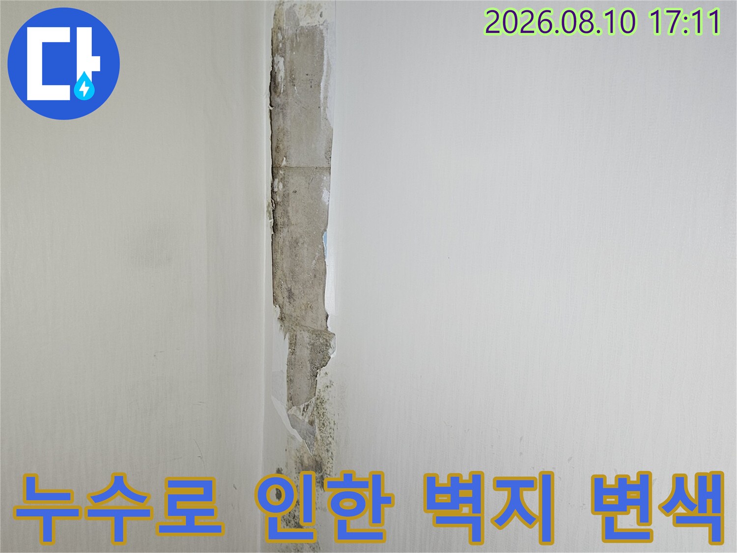 천장과 벽면 경계에 발생한 심한 누수 흔적 및 곰팡이 상태
