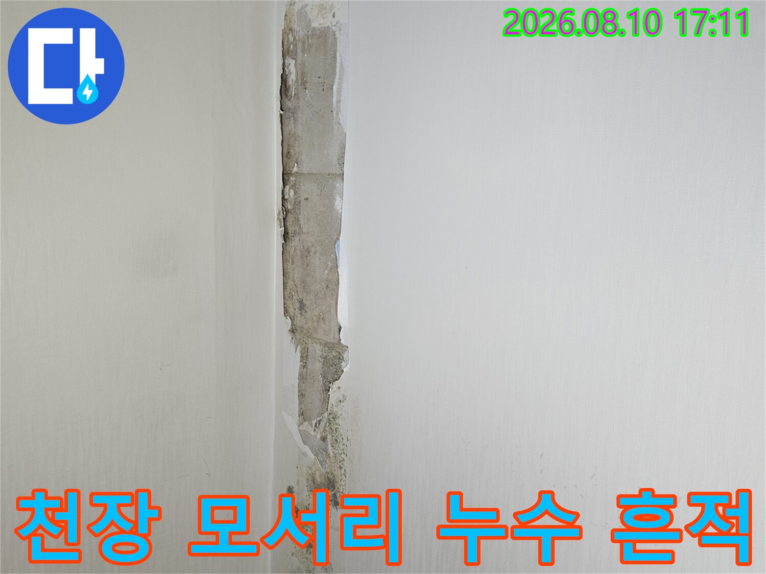 화장실 천장 가장자리의 곰팡이와 습기로 인한 도배지 변색