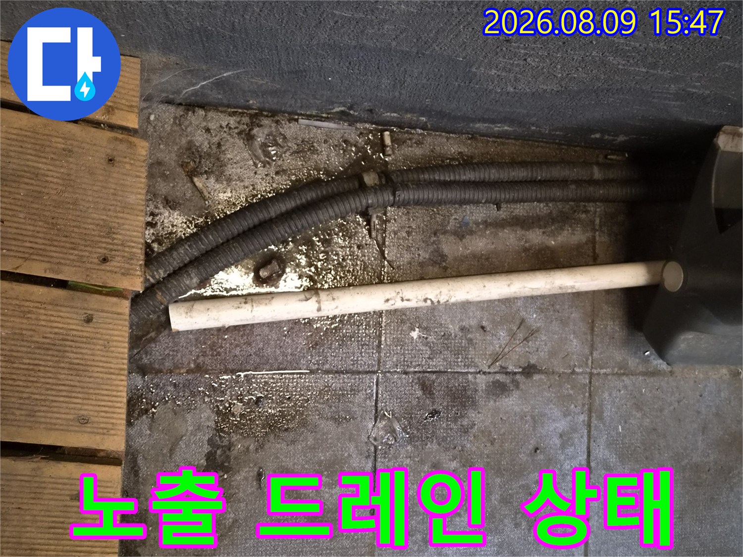하수 배관과 연결된 노출 드레인 주변의 오염 및 습기 상태입니다.