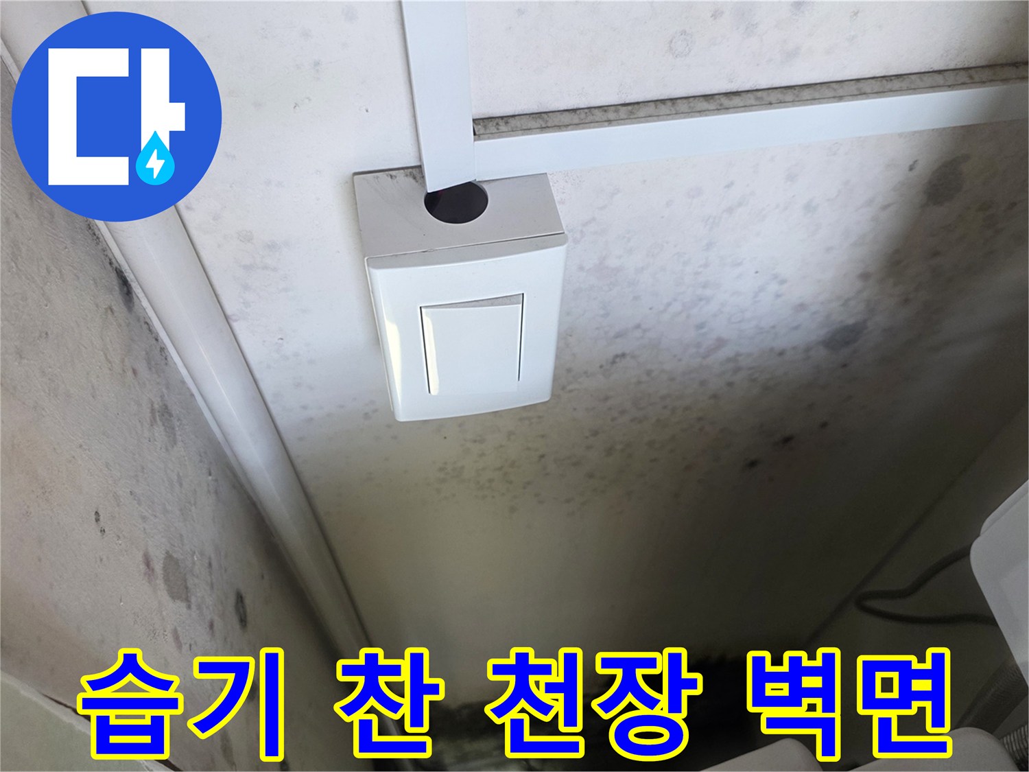 곰팡이가-발생한-보일러실-내부-벽면