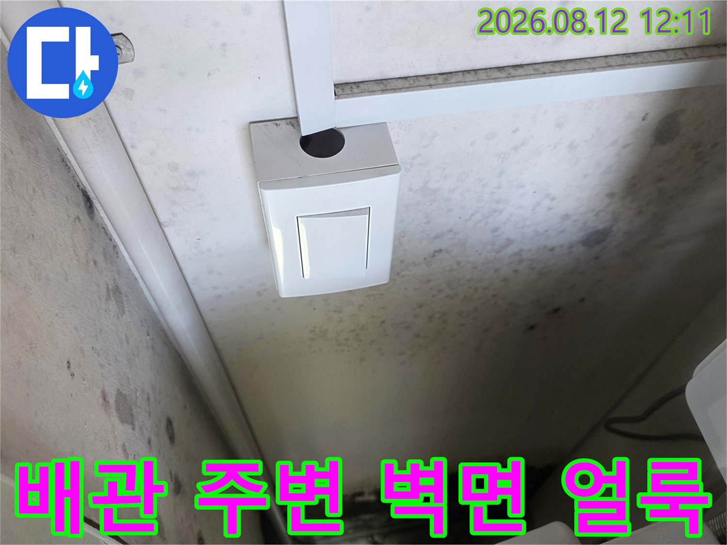 배관 연결 부위 근처에 나타난 벽면의 습한 얼룩과 곰팡이 현상