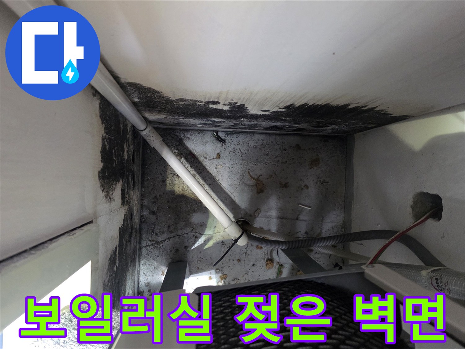 보일러실 천장 경계부의 검은 곰팡이와 물샘 흔적