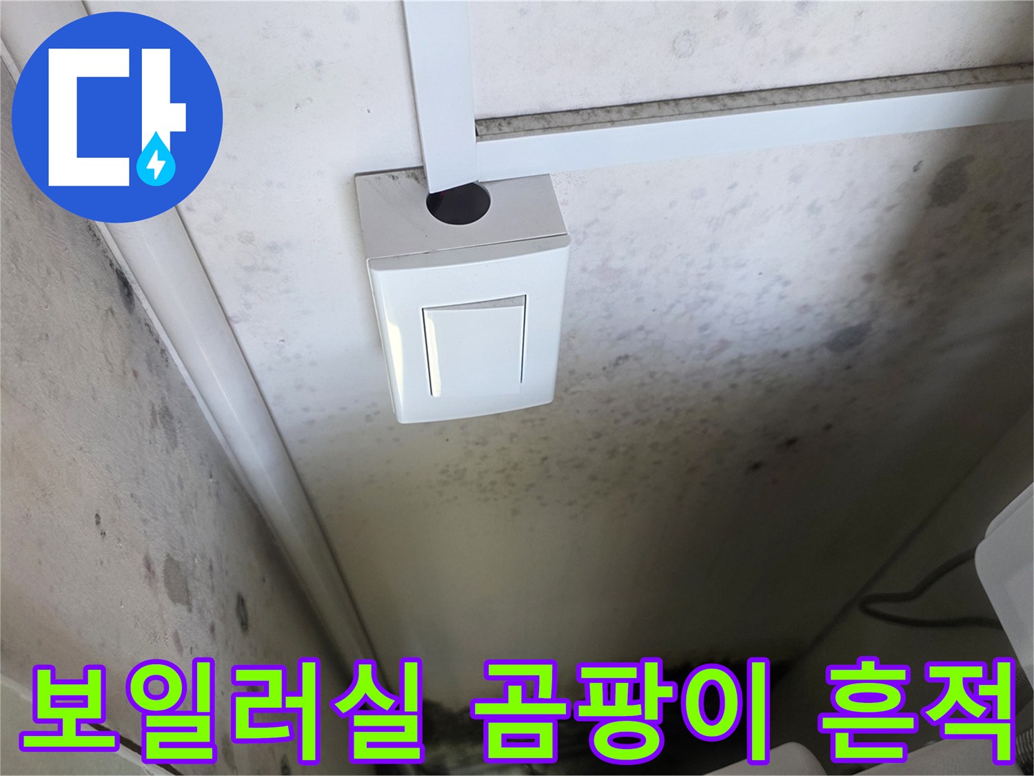 습기와-곰팡이가-발생한-벽면-상태