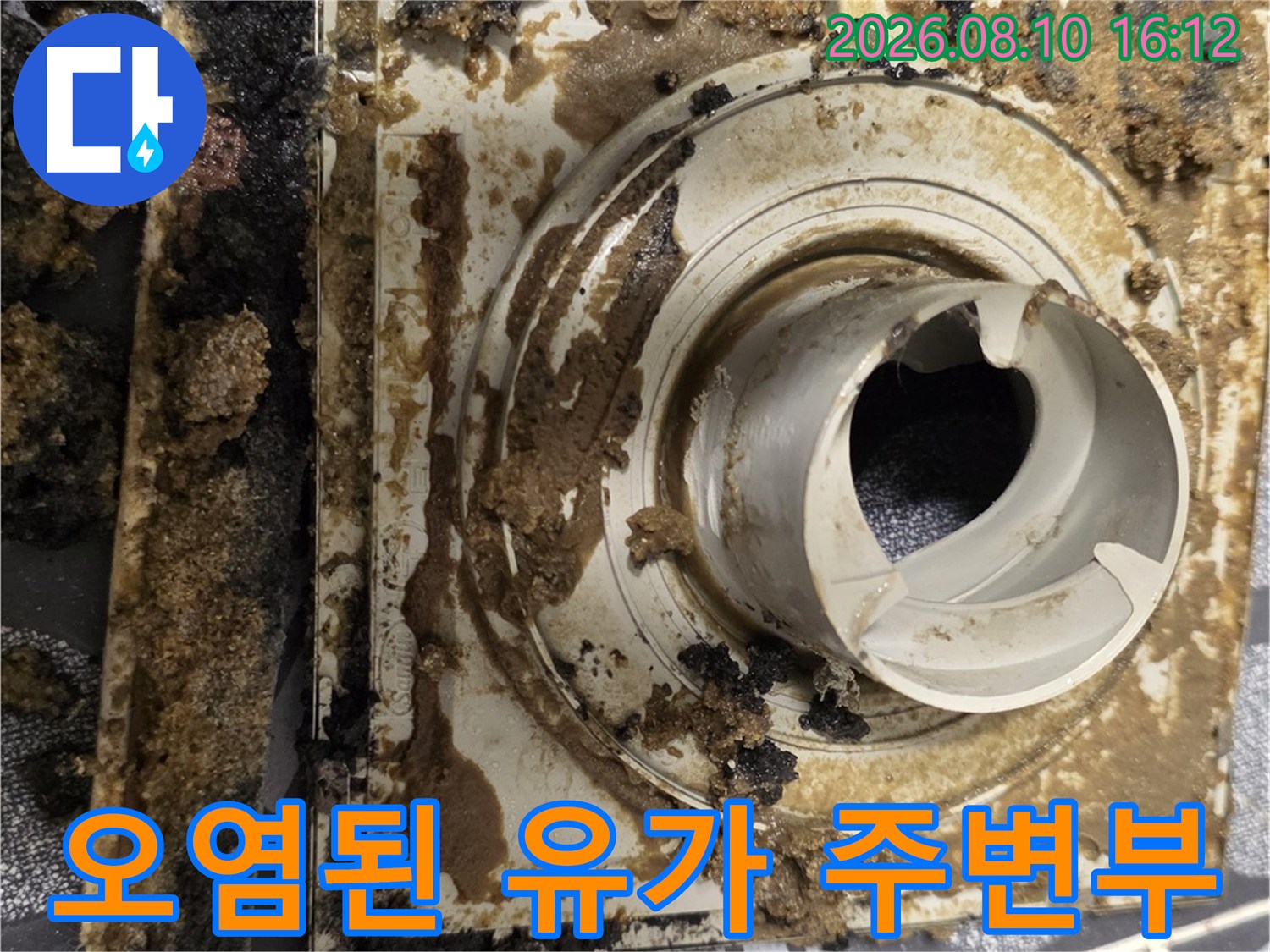 검은 곰팡이와 이물질로 오염된 욕실 배수구